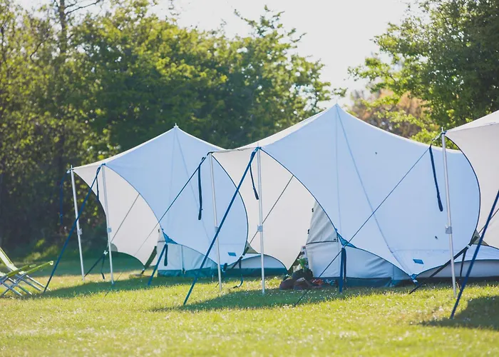 Bluecamp Oerol25- Tent&Breakfast