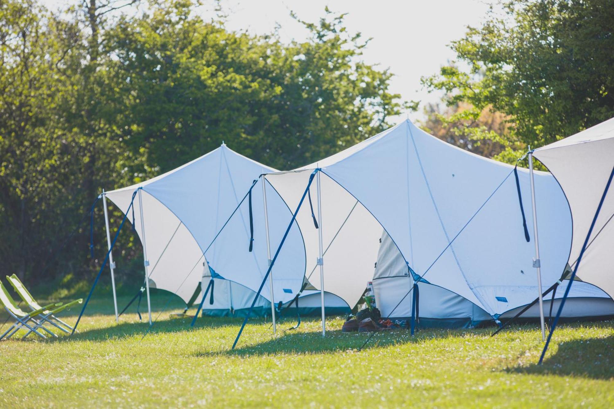 Campeggio Bluecamp Oerol25- Tent&breakfast